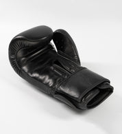 'X' Series Boxing Gloves